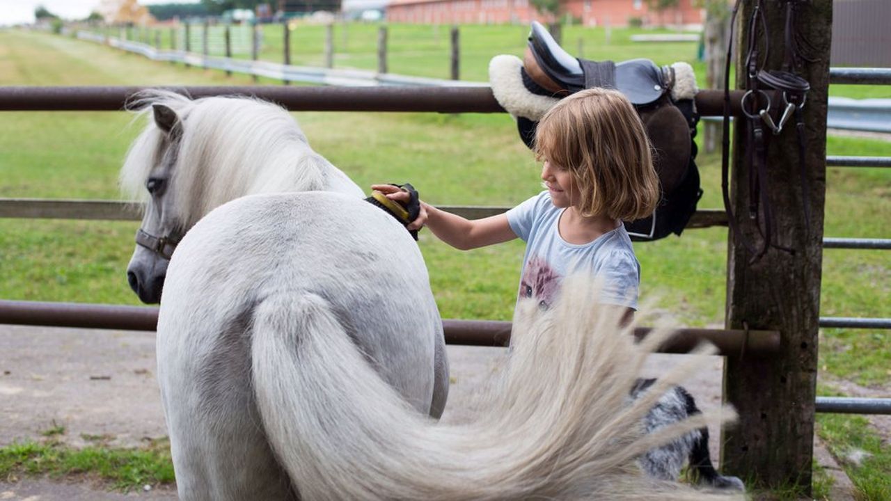 hilfe-bei-der-tierpflege hilfe-bei-der-tierpflege